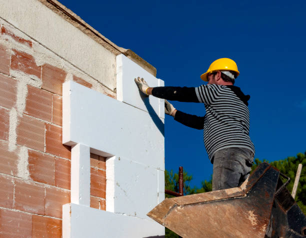 Types of Insulation We Offer in Chester, MD