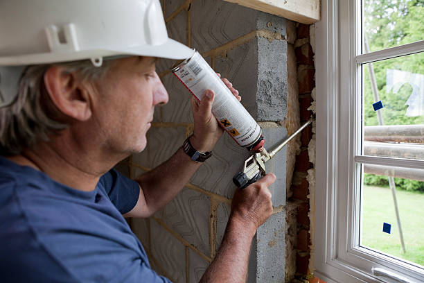 Best Geographic-Specific Insulation Services in Chester, MD