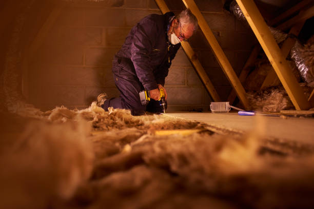 Best Blown-in Insulation in Chester, MD
